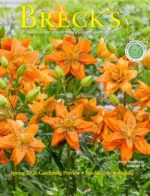 Breck’s Catalog: A vibrant spring garden with various colorful tulips and daffodils arranged in a professional landscape design.