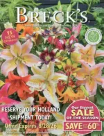 Breck’s Catalog: A vibrant spring garden with various colorful tulips and daffodils arranged in a professional landscape design.
