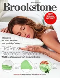 Brookstone Catalog