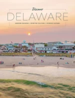 Delaware Vacation Guide: A scenic view of the Delaware coastline featuring a sandy beach
