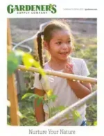 A vibrant and lush garden featuring cedar raised beds