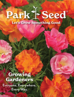 Park Seed Catalog: A colorful array of seed packets and gardening tools laid out on a wooden table for garden planning.