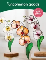 Uncommon Goods Catalog: A selection of unique artisan-made gifts and creative home decor items from a specialized catalog.
