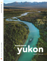 A scenic view of the Yukon River winding through a valley of autumnal boreal forest under a clear blue sky.
